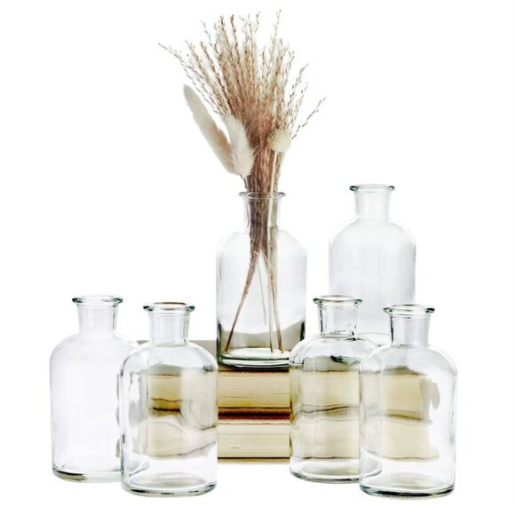Mud Pie Other - 6 Clear Apothecary Glass Bottles